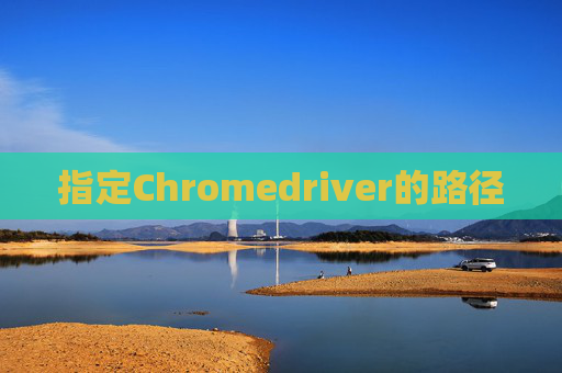 指定Chromedriver的路径